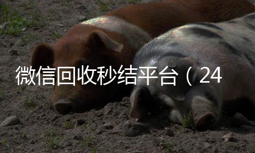 微信回收秒结平台诚信收微信秒结（24小时回收微信秒结平台）